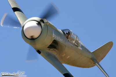 PRSS1303.jpg