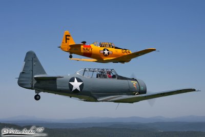 Grass Valley Air Show 2007