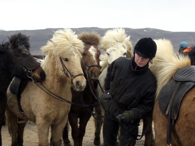 Went horse riding in Hveragerði