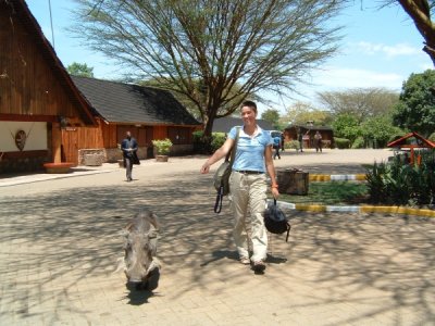 Masai Mara - walking the hog