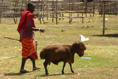 The Maasai market in Arusha