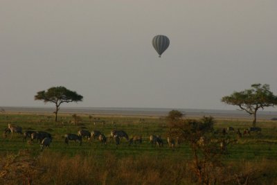 Serengeti - baloon safari