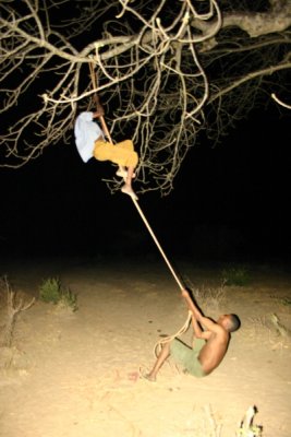 3 day cultural tour - honey harvesting!