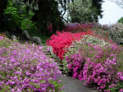 Biltmore Estate - April Flowers
