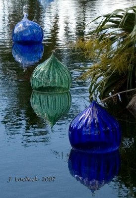 chihuly_glass_exibit