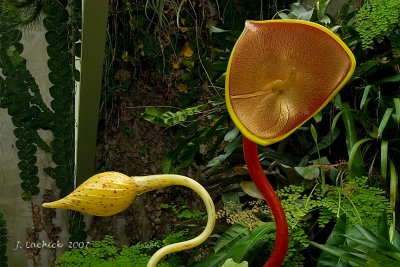 2007032511.jpg