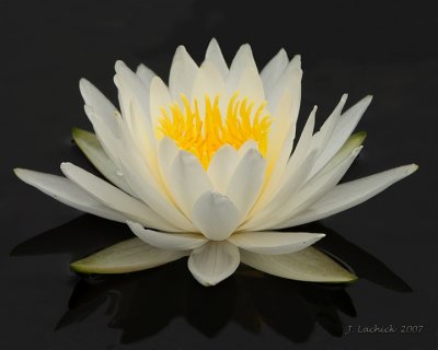 g6/30/524530/3/76267325.zRuz7ocF.jpg