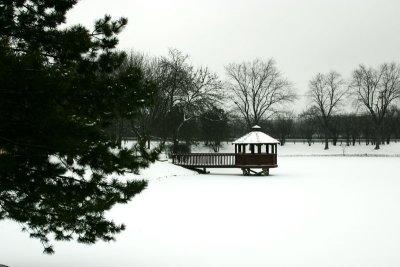 Snow lake, Palatine, IL