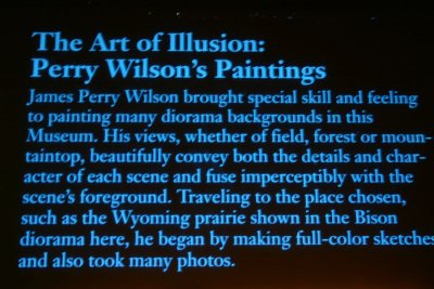 Perry Wilson illusions, American Museum of Natural History, New York City