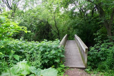 Bridge across the stream, Long Grove