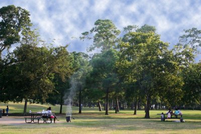 Barbeque in Hermann Park, Houston