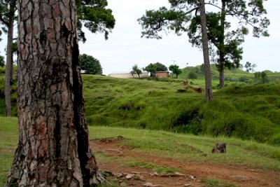 Village near Sarsawa