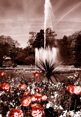 Sepia Toulouse.jpg