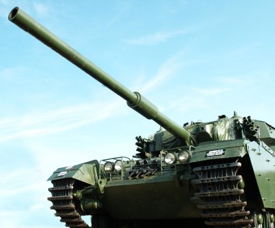 Big-gun-1crop.jpg