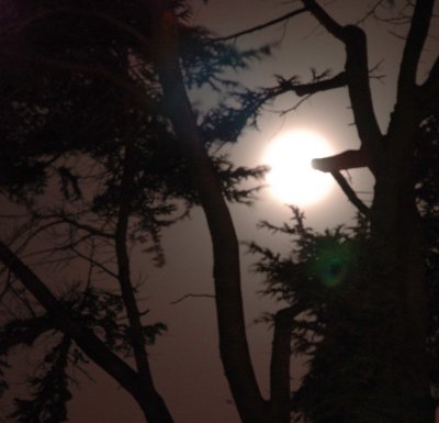 Moon-light2.jpg