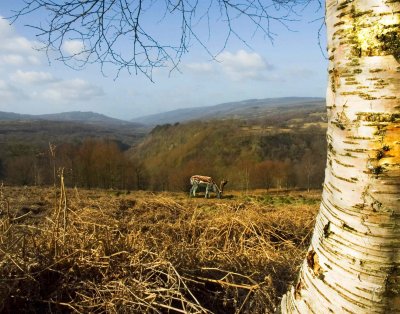 Brecon-walk.jpg