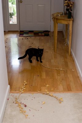 _MG_0503.jpg