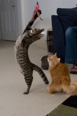_MG_0517.jpg