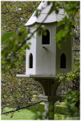 Bird palace