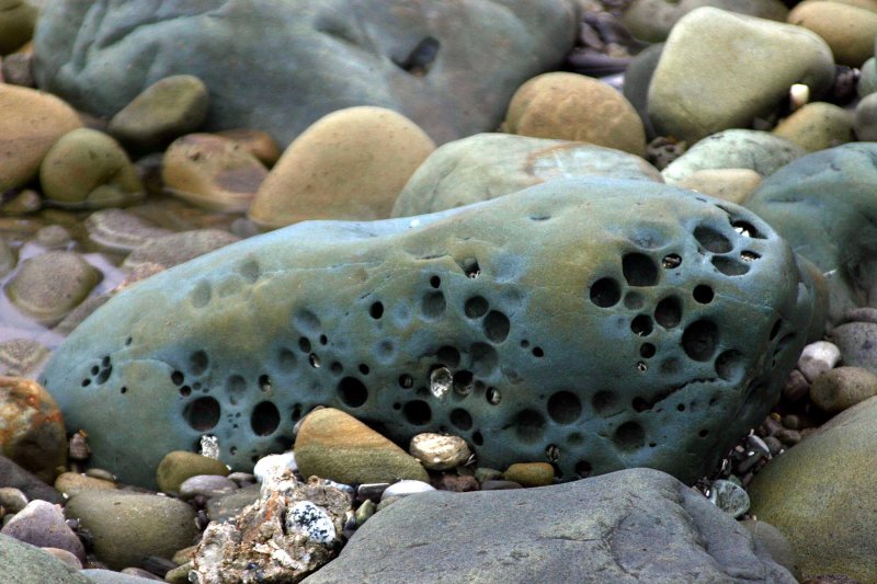 holey rock