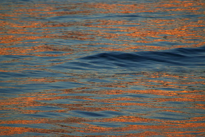 sunset on the water.jpg