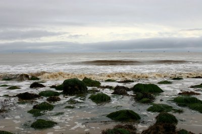 Muddy Ocean 2.jpg