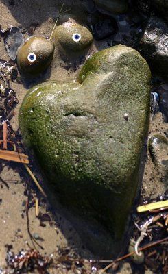 Heart Rock Face.jpg