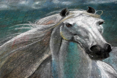 Chalk art horse.jpg