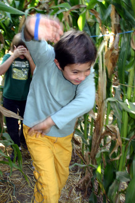 Running in the Corn Maze 2005.jpg