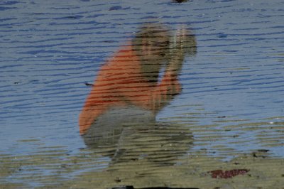 reflection.jpg
