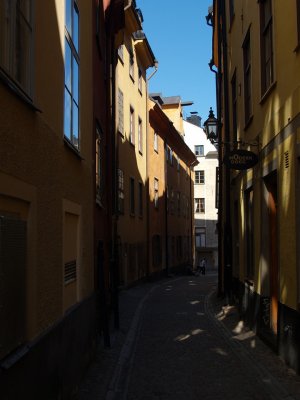 P7264209.jpg