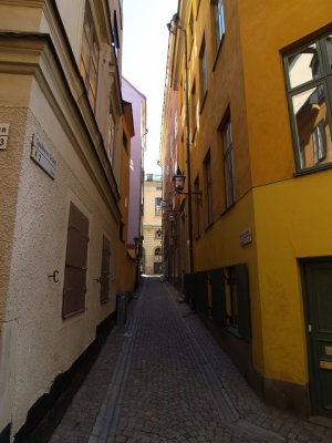 P7264212.jpg