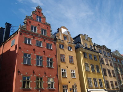 P7264282.jpg