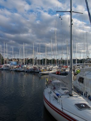 P7264615.jpg
