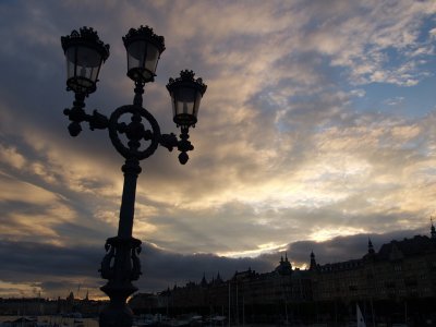 P7264625.jpg