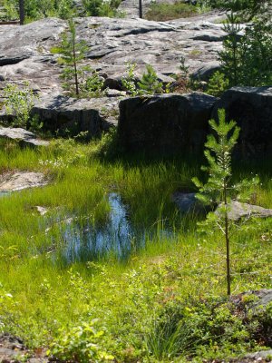 P7274644.jpg