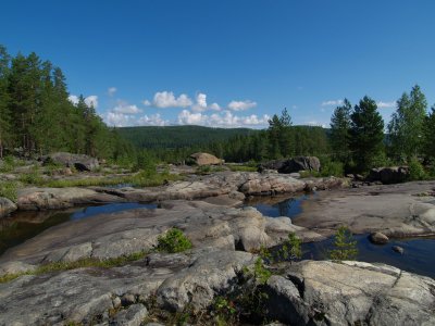 P7274648.jpg