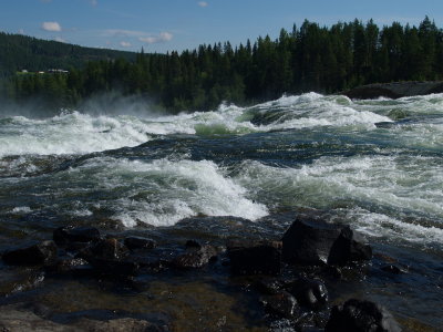 P7274661.jpg