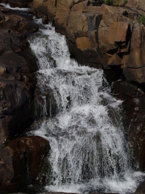 P7274684.jpg