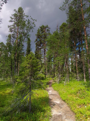 P7284862.jpg