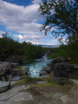P7295346.jpg