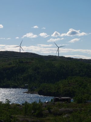 P7295400.jpg