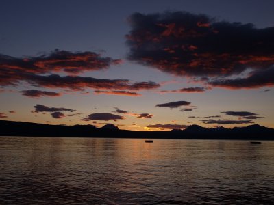 P7295540.jpg