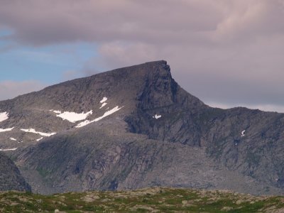 P7305774.jpg