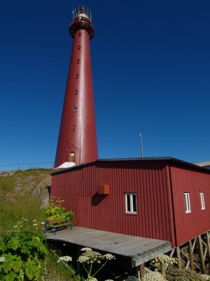 P7315869.jpg