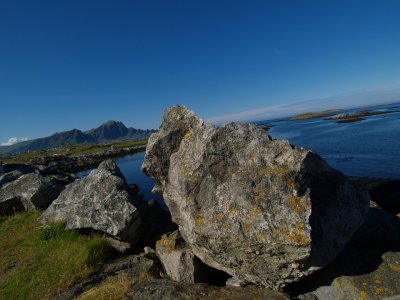 P7315881.jpg