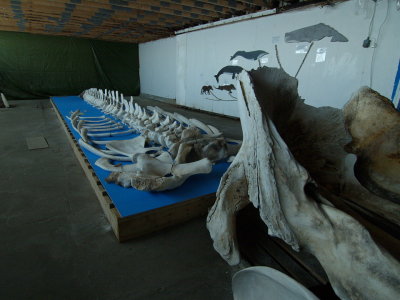 P7315925.jpg