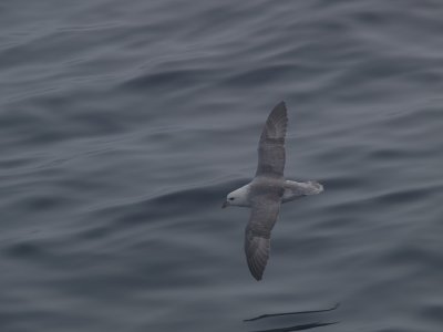 P7316012.jpg