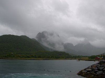 P8016122.jpg