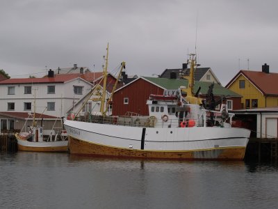 P8016202.jpg